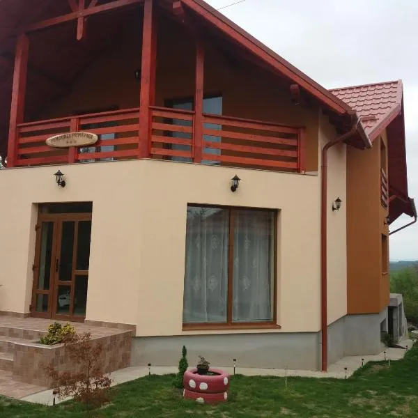 Pensiunea agroturistica Primavara, hotel in Dioşod