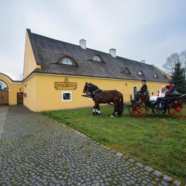 Dvůr Olšiny -Hotel and Horse-riding, hotel in Karviná