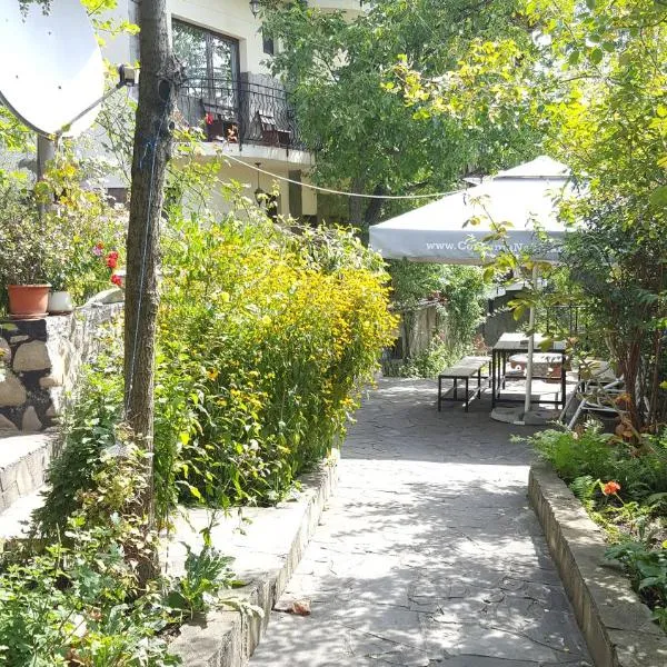 Pensiunea TOP DEMAC, hôtel à Slănic