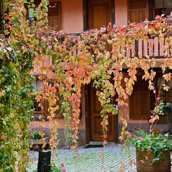 Hôtel de l'Ange