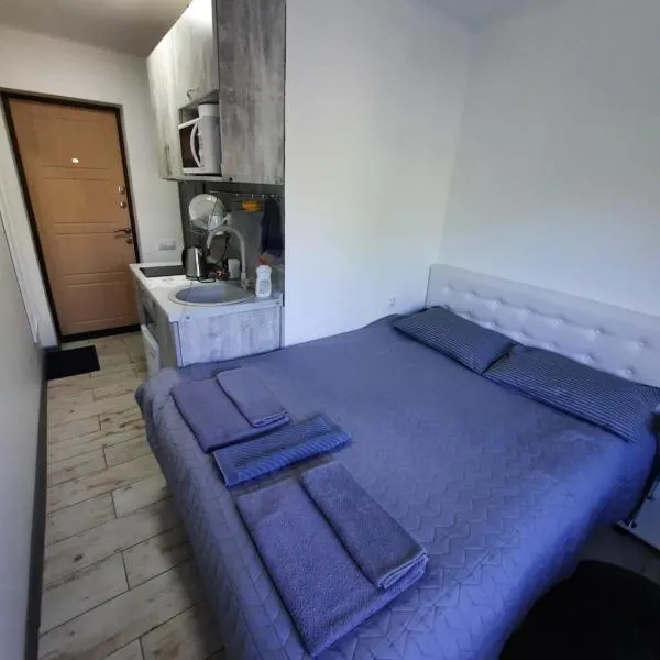 Посуточно мини-студия метро Дорогожичи Киев, hotel in Kyiv