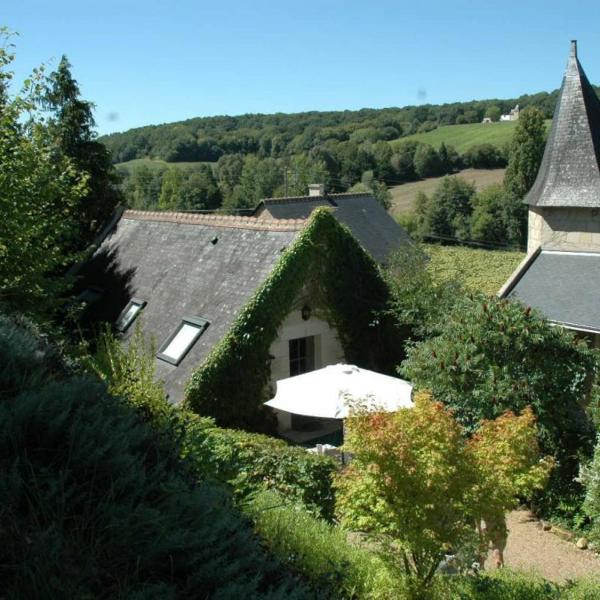Charmant gîte avec piscine privée, terrasse et WiFi près de Chinon - FR-1-381-60