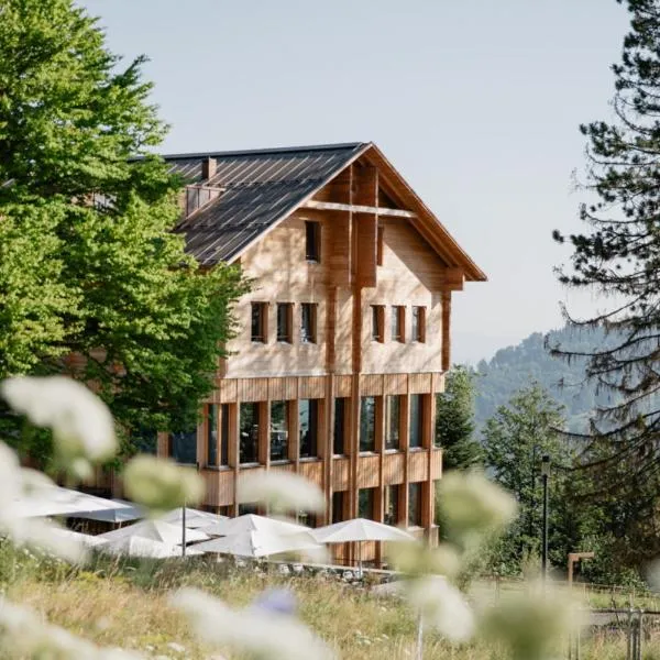 Hotel Gasthaus Hergiswald，位于艾根塔尔的酒店