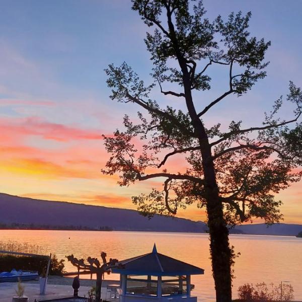 Situation exceptionnelle pour ce cosy studio avec terrasse SUR LAC, dans résidence avec PLAGE et ponton PRIVEE