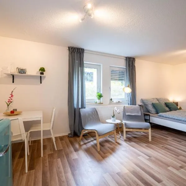 EG Wohnung, zentral, TOP Anbindung, mit großer Terrasse, Hotel in Dresden