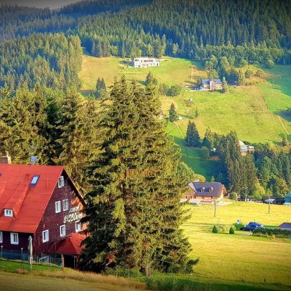 Pension Svoboda, ξενοδοχείο σε Pec pod Sněžkou