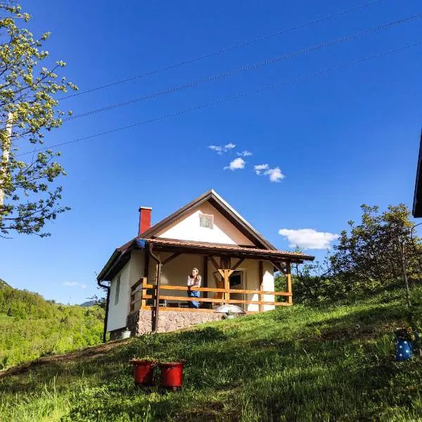 The Village House Zlatar, hôtel à Nova Varoš