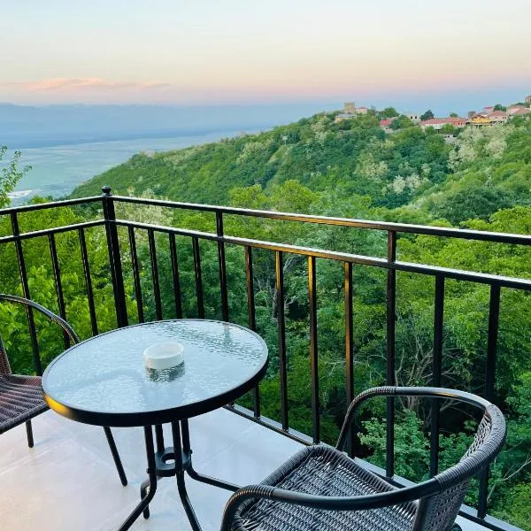 Villa Royal，位于西格纳吉的酒店