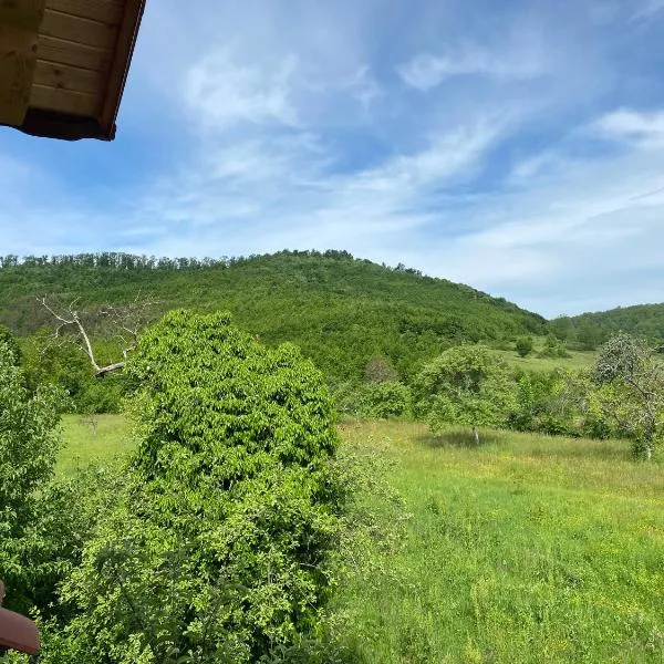 Casa Dea, hôtel à Gladna Montană