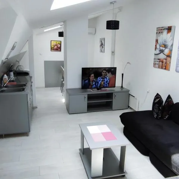 Stevan Sremac, ξενοδοχείο σε Soko Banja