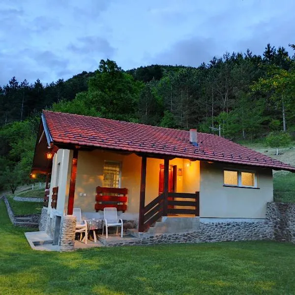 Vikend kuca Maksimovic, hotel in Mataruška Banja