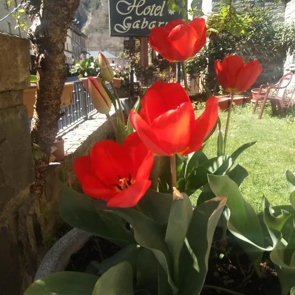 Gabarre, hotel v mestu Broto