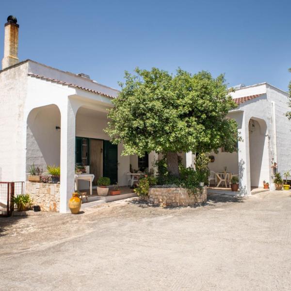 WePuglia La Maison-D B&B