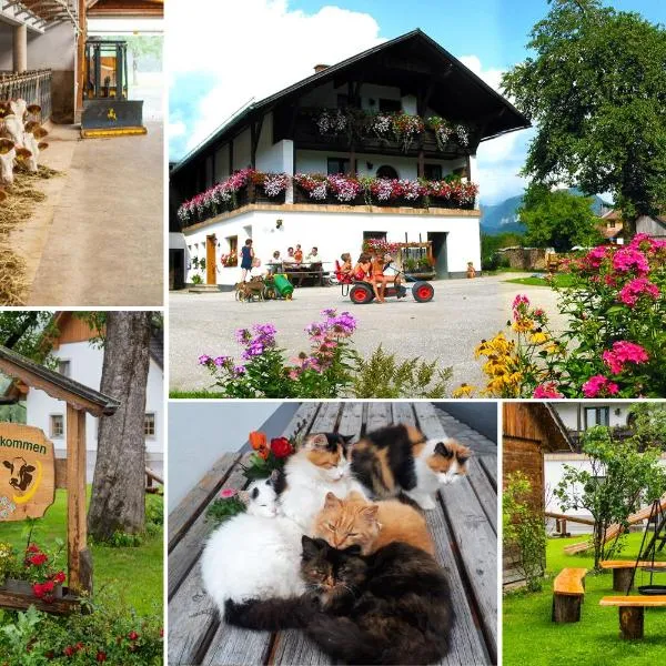 Ferienhof Kandler、Rossleithenのホテル