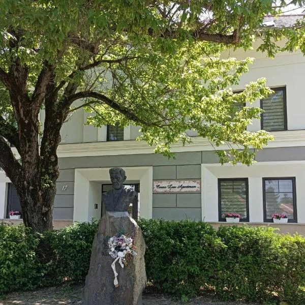 Corso Lux Apartman, hotell sihtkohas Gyula