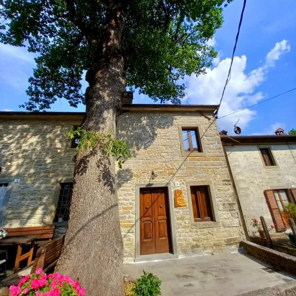 CASINA LA QUERCIA, hôtel à Santa Sofia