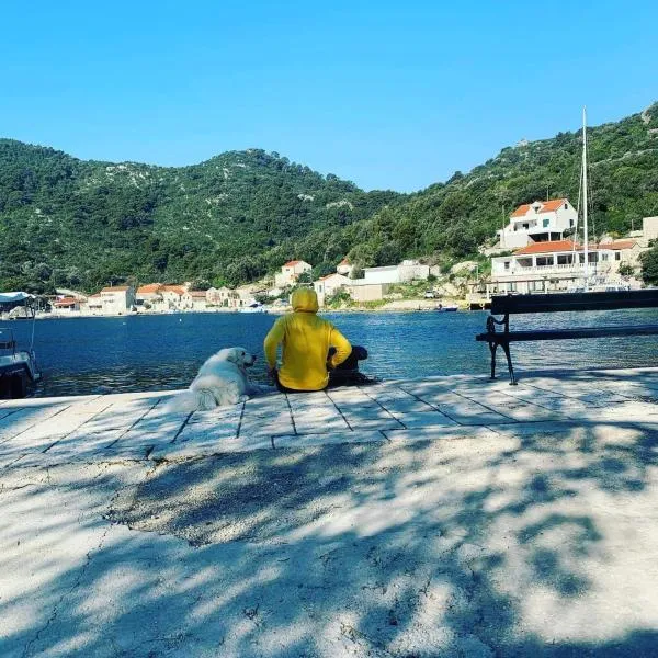 Apartment Nikki, hotel in Maranovići