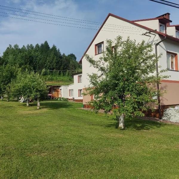 Przy Winogronie, hotel in Uherce Mineralne