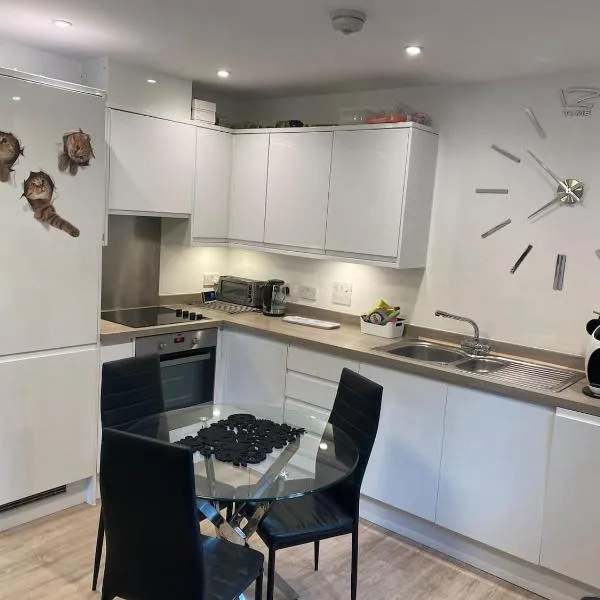 Ashs Apartments，位于南安普敦的酒店