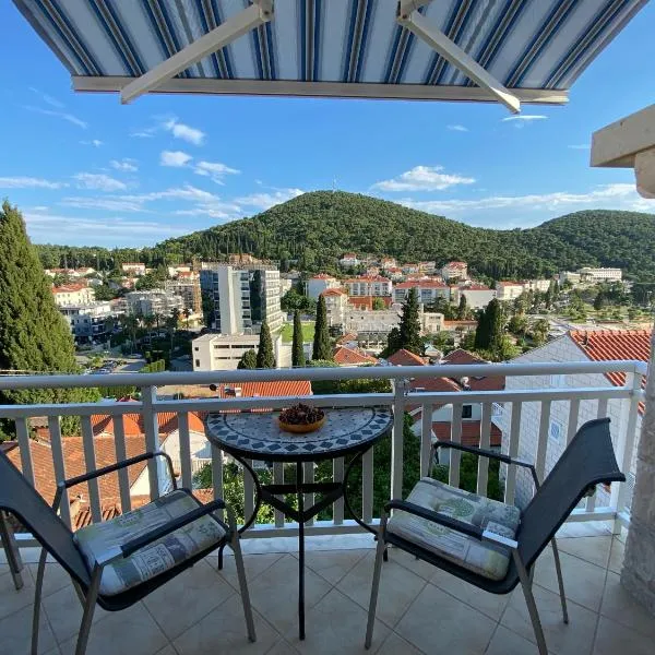 Apartment Sandra FREE PRIVATE PARKING, Hotel in Dubrovnik