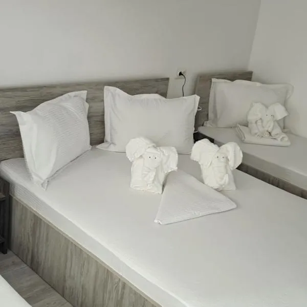 Casa David, hotel in Constanţa