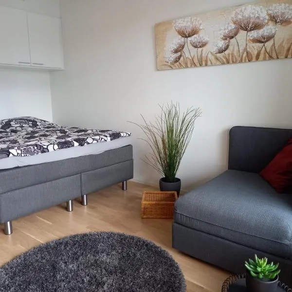 Lutakko Apartment 2 with free parking, hotel in Jyväskylä