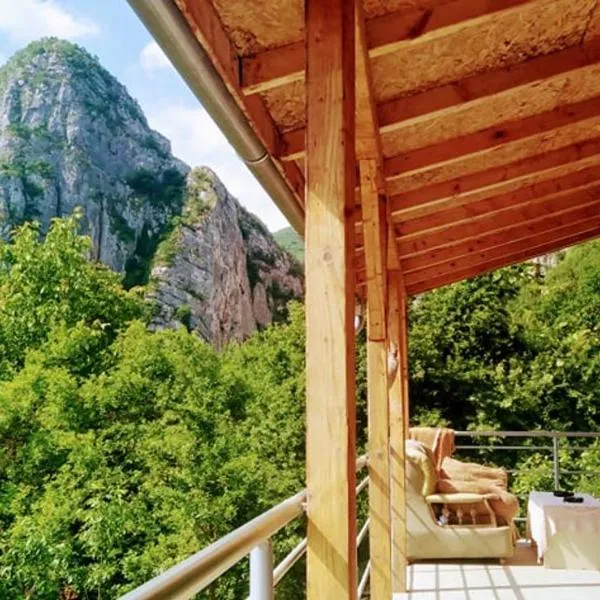 Odmaralište Vlaško ždrelo, hotel di Pirot