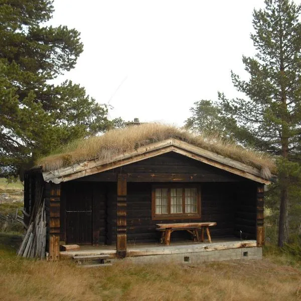 Lusæter Timber Cabins, hotel v destinaci Heidal