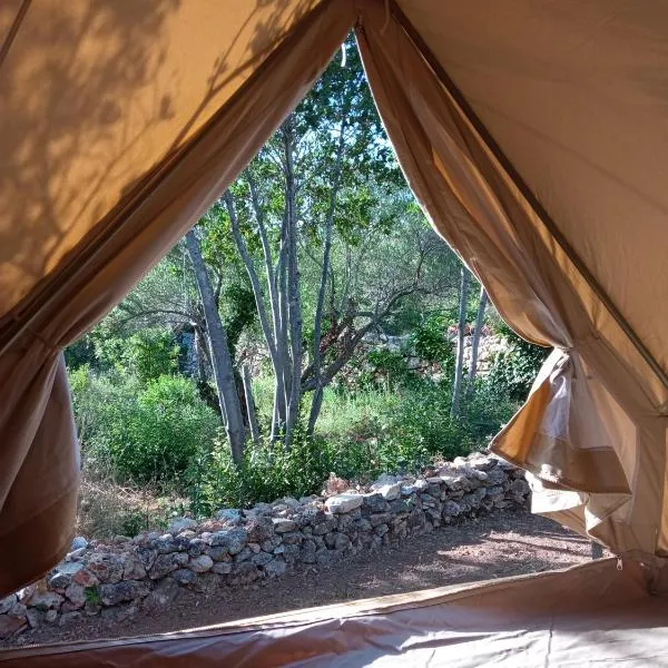 Mini kamp Perla, Hotel in Prvić Luka