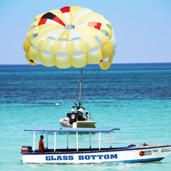 Negril Treehouse Resort, hotel v Negrilu