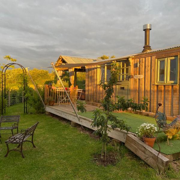 Willowbank shepherds hut