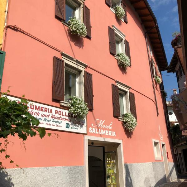 Bed and Breakfast Casa Mosole