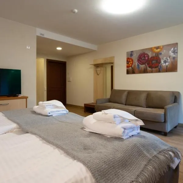 Senasis Nemunas: Druskininkai şehrinde bir otel