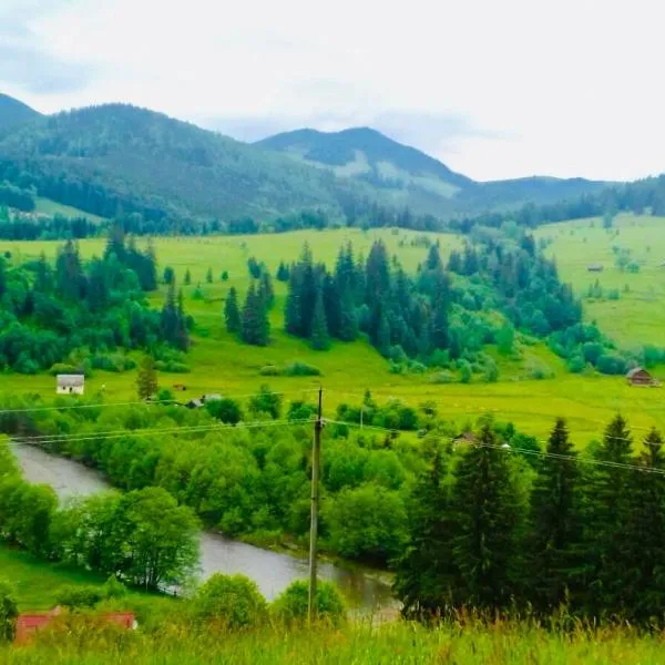Садиба «Пасіка» відпочинок в Карпатах, hôtel à Zelena