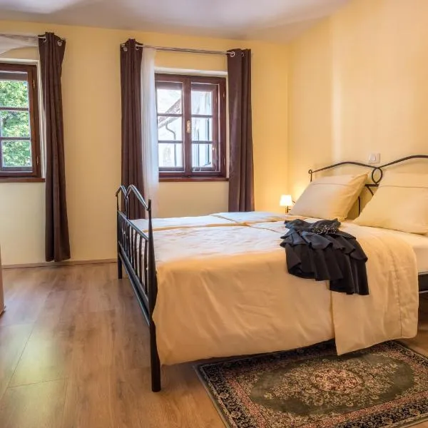 Vila Radolca apartments & rooms, Hotel in Radovljica