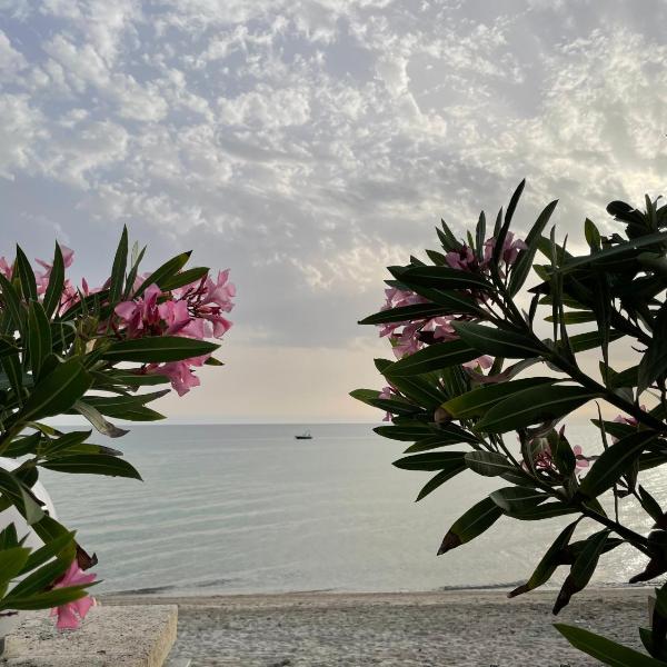 Sweet dreams at the seaside