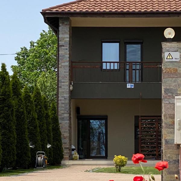 Casa Pontica