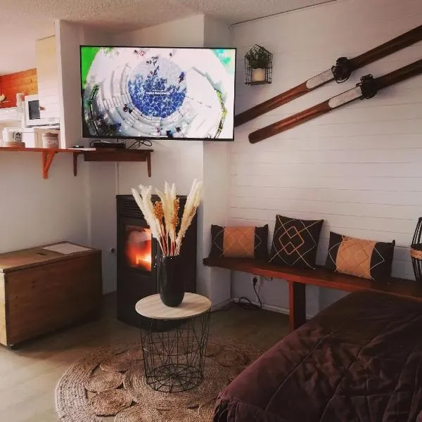 Appartement 8 couchages 45 m2 tout confort à la foux d'allos, hotel v destinaci La Foux