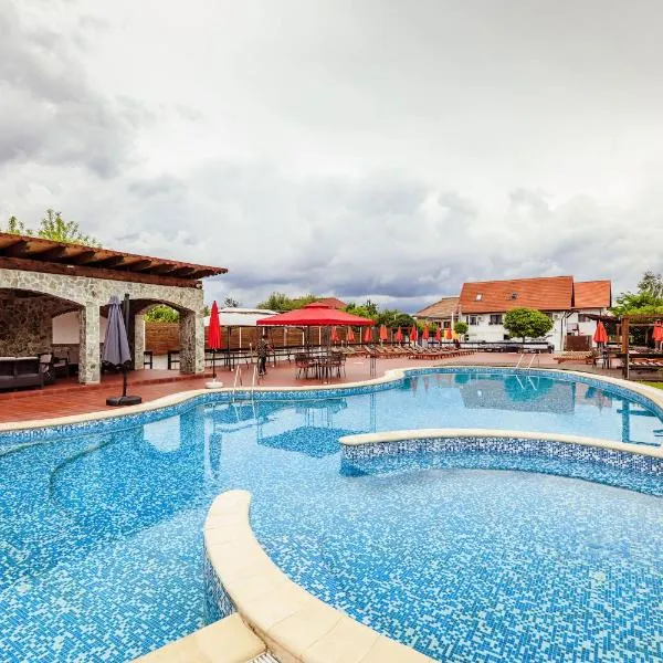 Pensiunea Iris, ξενοδοχείο σε Turcineşti