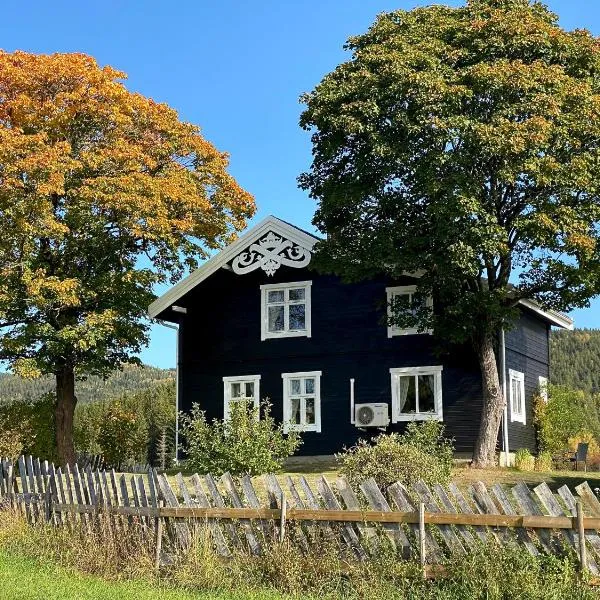 Eika Cottage: Cozy, rural, spacious and well-equiped, hotel en Åmot