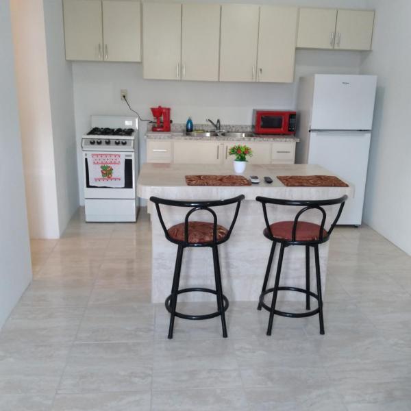 Mitch Apt, Jobos