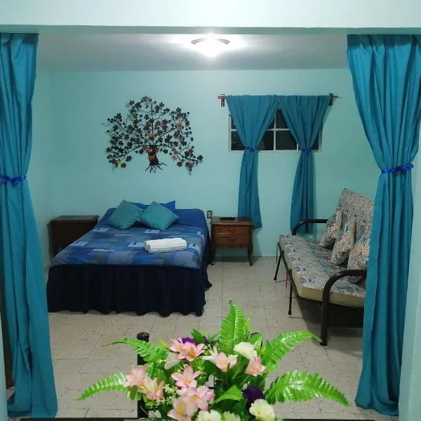 DEPARTAMENTO CERCANO AL AEROPUERTO T2, A 2 CALLES、メキシコシティのホテル