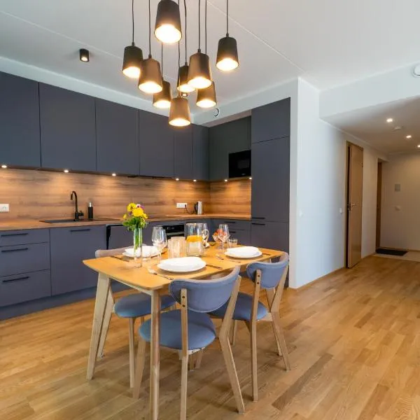 Delta Luxury Apartment with terrace, Hotel in Tartu