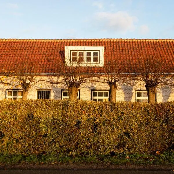 De 6 Linden Boutique Hotel, hôtel à Sluis