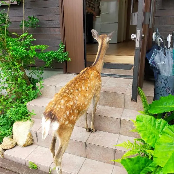 Deer hostel - Nara Old Town - 英語予約限定, hotel en Nara