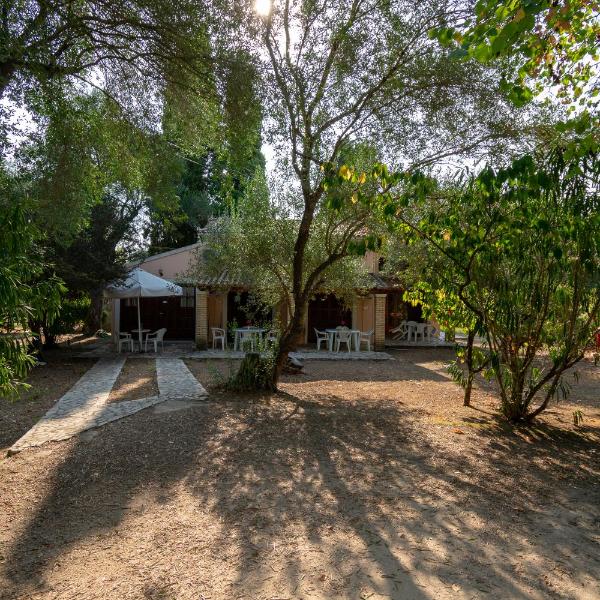 Villa Olive apartments