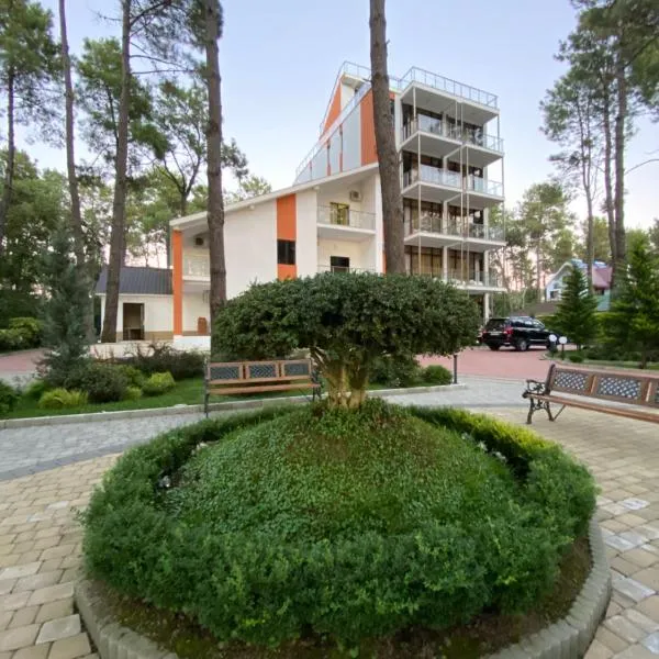 Buxus Hotel Shekvetili, hotel in Shekvetili