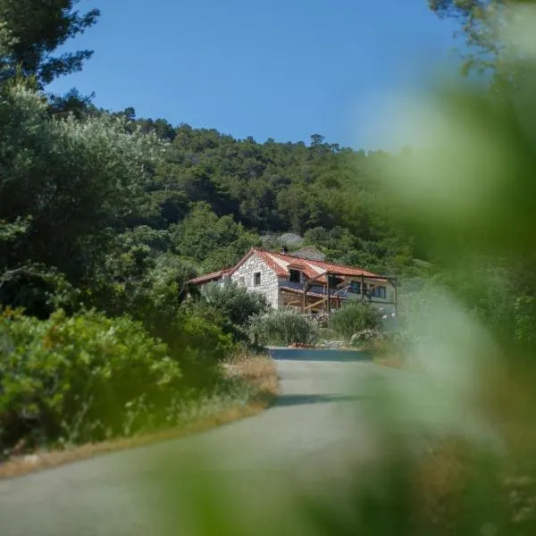 Olive Hill Familly House, Hotel in Vis