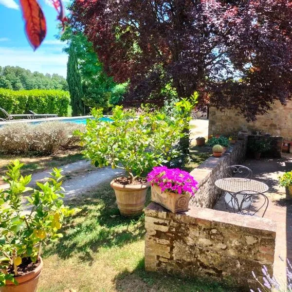 B&B Palazzo a Merse, hotel v mestu Sovicille