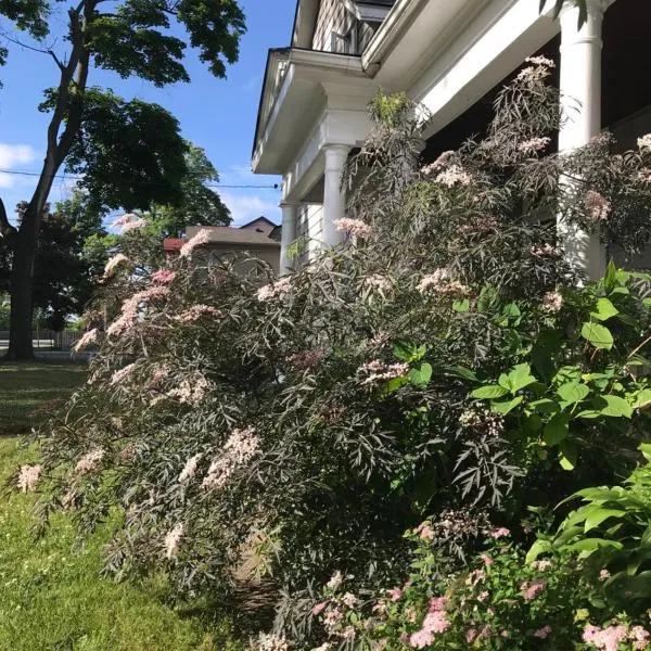 WHITE SWAN House，位于尼亚加拉瀑布的酒店